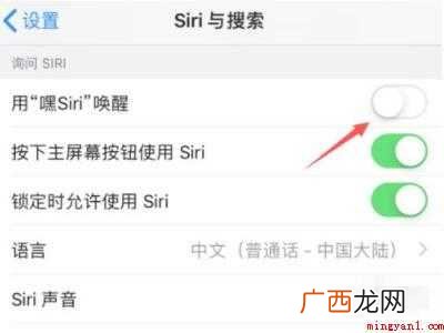 iphone12siri怎么唤醒共5个步骤 iphone12siri怎么唤醒