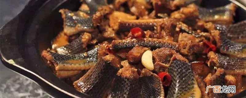 蛇肉能吃吗 蛇肉能不能吃