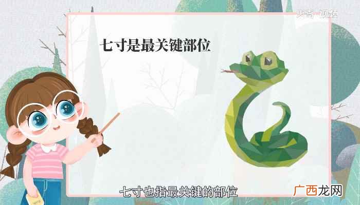 打蛇打七寸的七寸是指 蛇的七寸在哪里