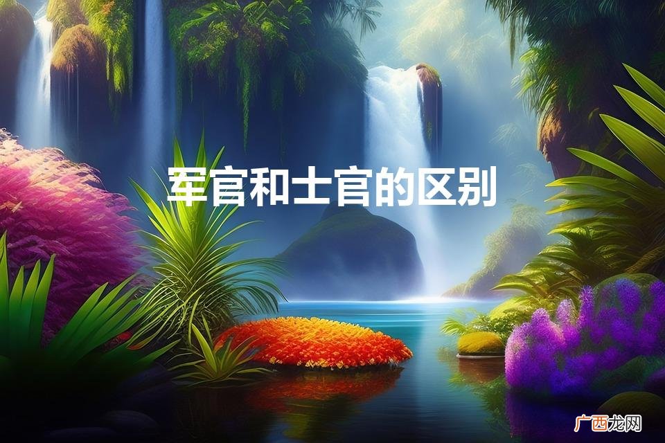 军官和士官的区别（军官和士官转业安置的区别)