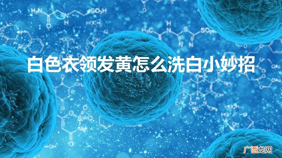 白色衣领发黄怎么洗白小妙招视频 白色衣领发黄怎么洗白小妙招