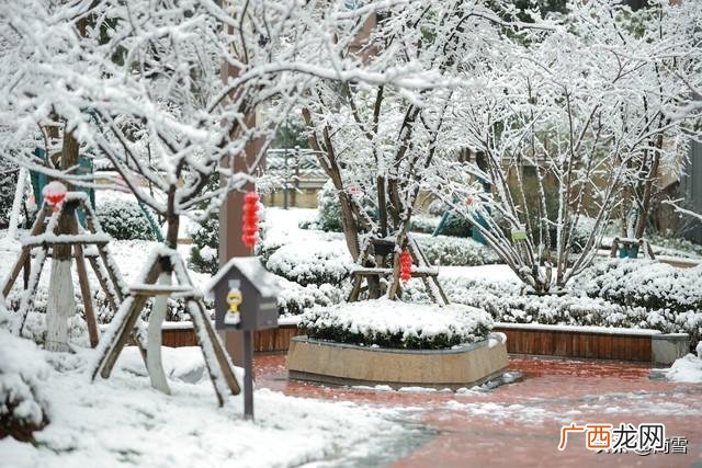 陆游除夜雪古诗的意思翻译 除夜雪的作者是谁