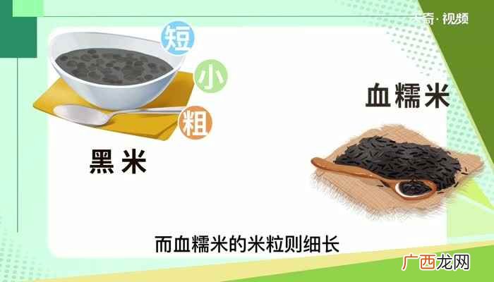 黑米和黑米有什么区别 黑米与血糯米有什么区别