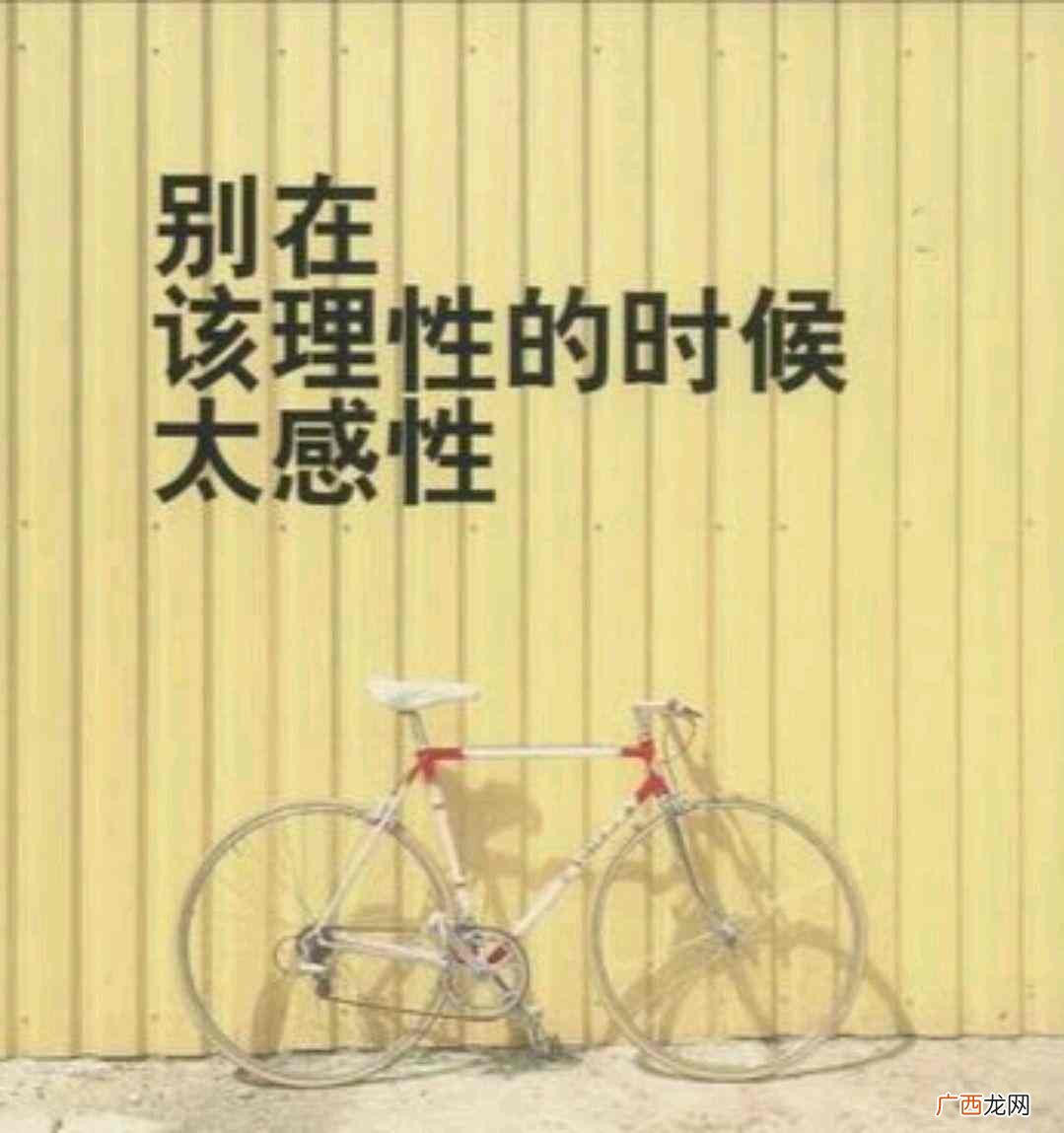 两种性格分别适合什么职业 理性和感性的意思