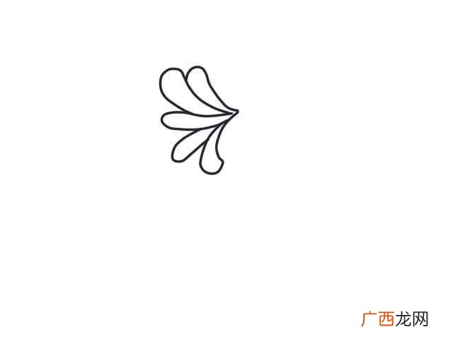 菊花简笔画好看又简单 菊花简笔画