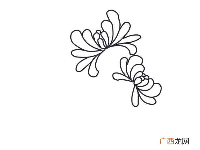 菊花简笔画好看又简单 菊花简笔画