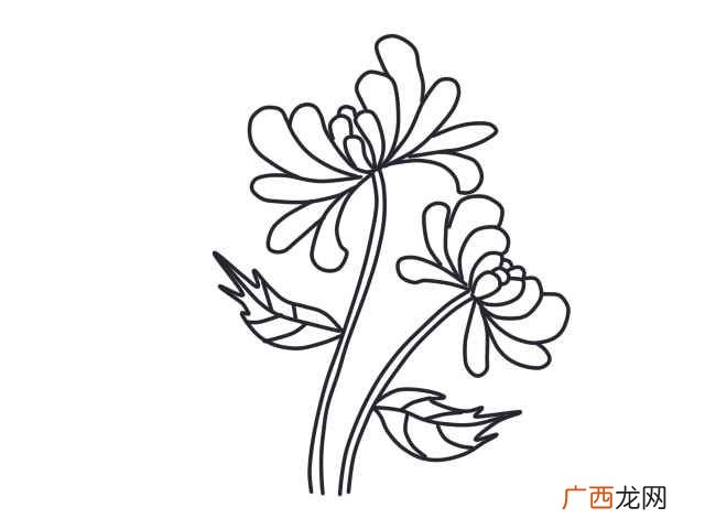 菊花简笔画好看又简单 菊花简笔画