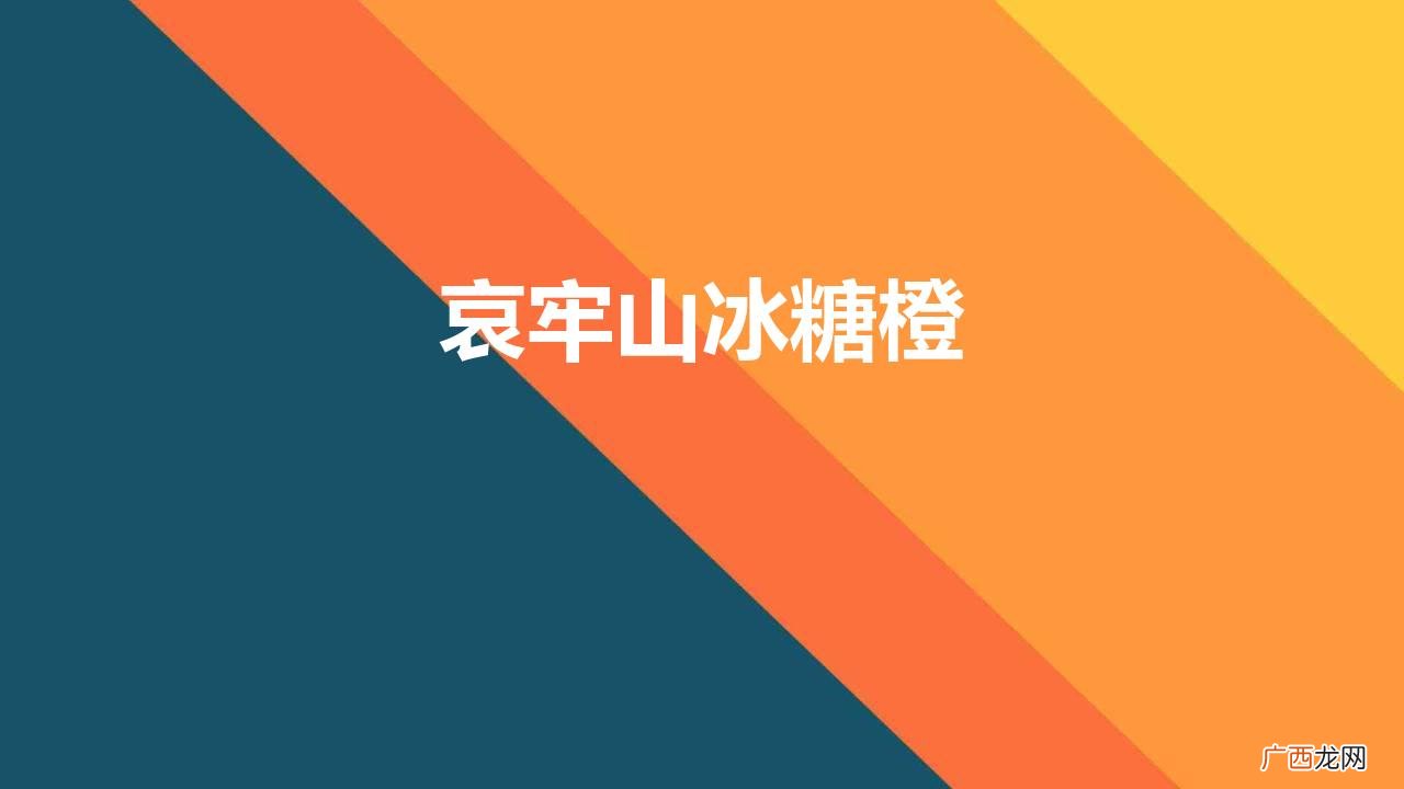 云南哀牢山冰糖橙甘甜清冽比喝橙汁还过瘾 哀牢山冰糖橙
