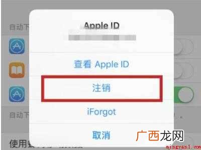 怎么注销苹果ID的具体操作步骤 怎么注销苹果ID
