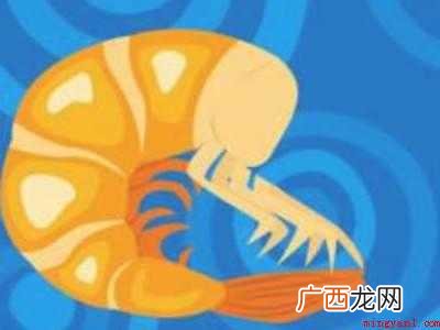 九节虾怎么处理干净的具体操作步骤 九节虾怎么处理干净