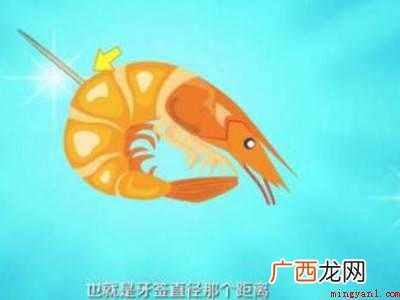 九节虾怎么处理干净的具体操作步骤 九节虾怎么处理干净
