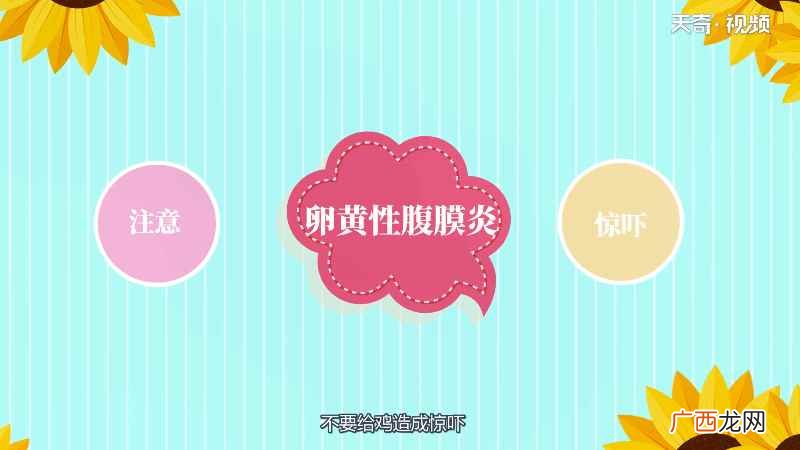 生蛋鸡比停蛋鸡消耗能量多 鸡为什么不下蛋