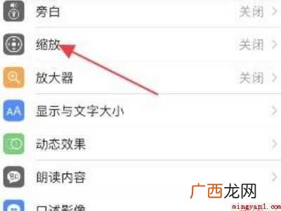 苹果11怎么开小窗口的具体操作步骤 苹果11怎么开小窗口