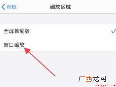 苹果11怎么开小窗口的具体操作步骤 苹果11怎么开小窗口