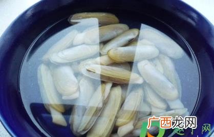 蛏子不用泡怎么洗的干净 蛏子怎么洗去沙