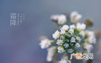 霜冻是什么时候霜冻怎么形成的 霜冻是什么时候怎么形成的