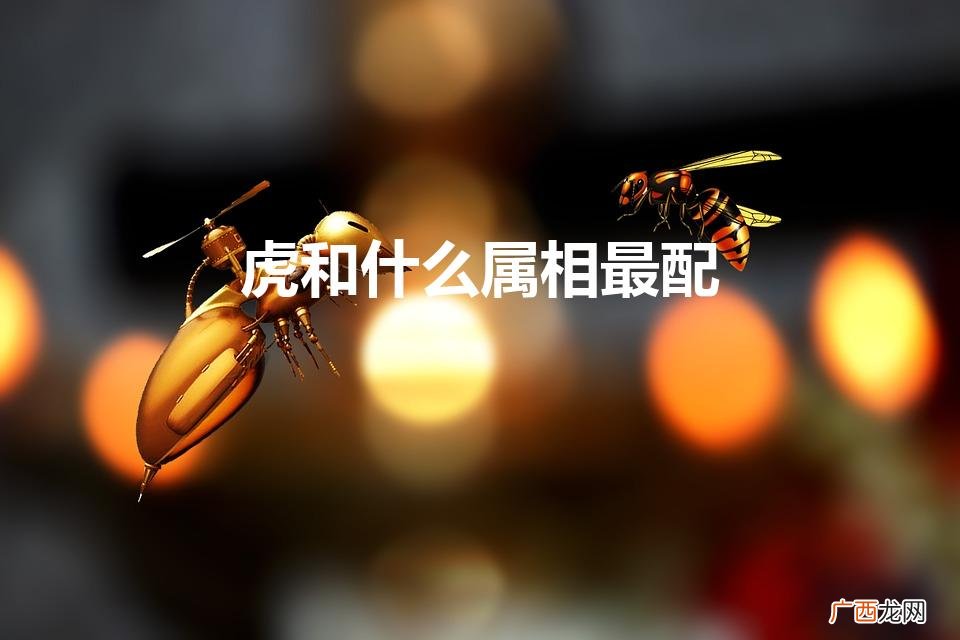 虎和什么属相最配对 虎和什么属相最配