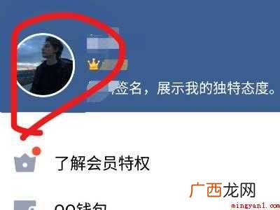 演示机型:Iphone 12 qq更新头像自动发动态怎么关掉