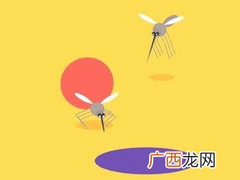 热带雨林有什么动物 热带雨林有什么动物和植物