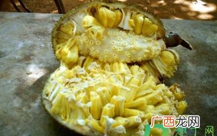 切开的菠萝蜜没剥皮怎么保存呢 切开的菠萝蜜没剥皮怎么保存