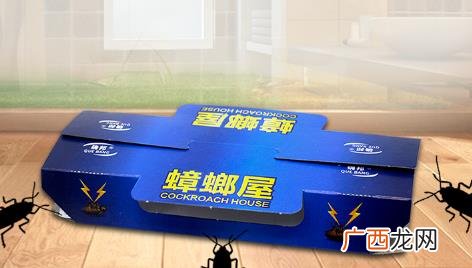 蟑螂粘板属于什么垃圾 蟑螂粘板是什么垃圾