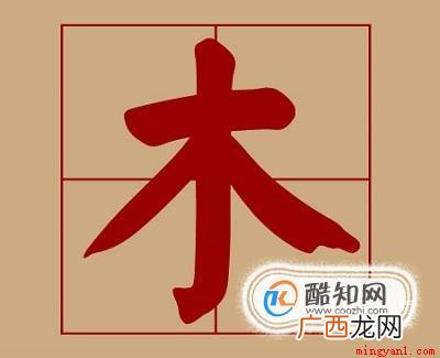 工具/材料田字格、写字笔操作方法 木的笔画写法