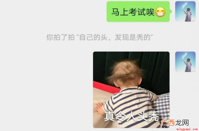 拍了拍我的头说:真是个天才 微信拍一拍有趣语录有哪些