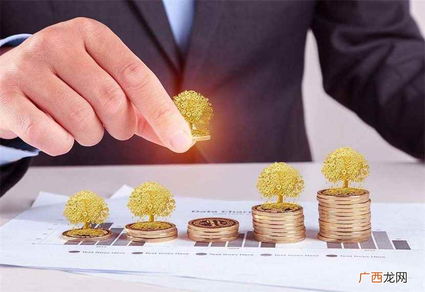 项目评估中净现值法的基本指标 npv净现值计算公式