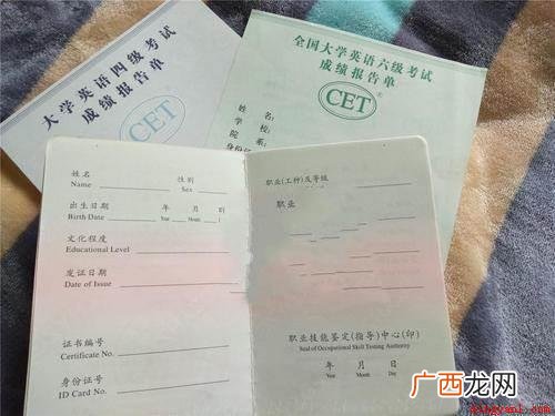 韩素音国际翻译大赛获得中译英翻译第一名 外语水平一般怎么填