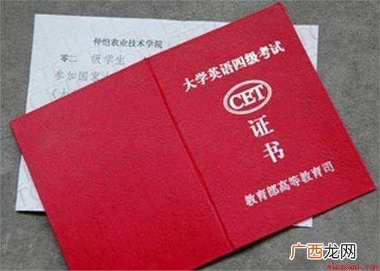 韩素音国际翻译大赛获得中译英翻译第一名 外语水平一般怎么填