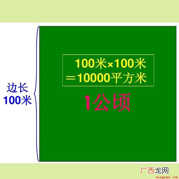 平方米和公顷的进率是多少