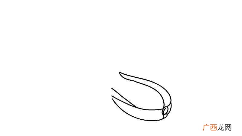 青菜的下端部分是什么 青菜简笔画
