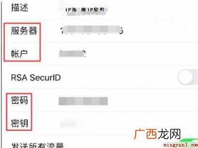 苹果VPN怎么填的具体操作步骤 苹果VPN怎么填