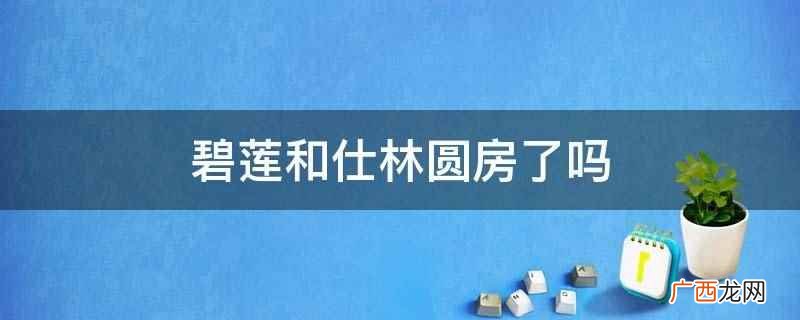 《新白娘子传奇番外篇》剧情介绍 碧莲和仕林圆房了吗