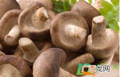 新鲜香菇发霉了还能吃吗 过水的香菇怎么放