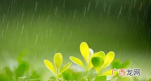 烧开的雨水能喝吗 烧开的雨水与烧开的自来水哪个干净