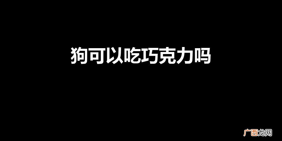 狗可以吃巧克力吗（猫可以吃巧克力吗)