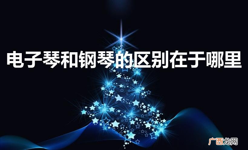钢琴和电子琴有什么区别 电子琴和钢琴的区别在于哪里