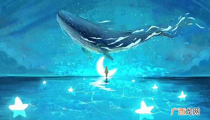 鲸鱼有什么特点鲸鱼的寓意和象征 鲸鱼种类分别是