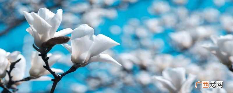 一年24个节气顺序 二十四节气如何排列