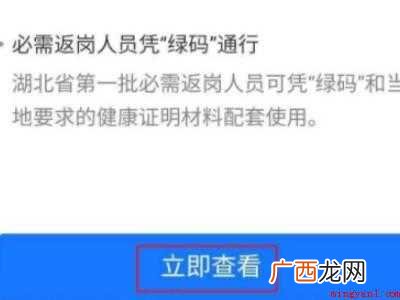 演示机型:Iphone 12 疫苗支付宝怎么查询