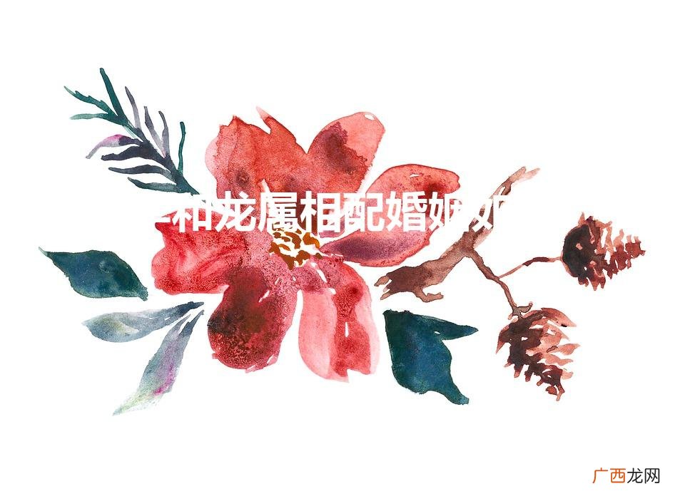 女羊和男龙属相配婚姻如何 羊和龙配吗 羊和龙属相配婚姻如何