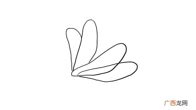 如何画蜻蜓的两片翅膀 蜻蜓的翅膀简笔画步骤