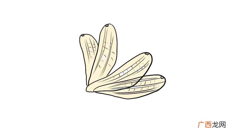 如何画蜻蜓的两片翅膀 蜻蜓的翅膀简笔画步骤