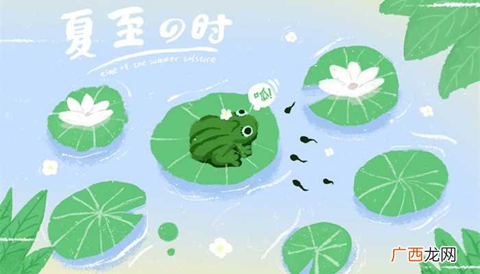 蝌蚪吃什么才能养活 蝌蚪吃什么