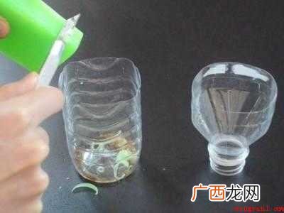蟑螂能彻底消灭吗的具体操作步骤 蟑螂能彻底消灭吗