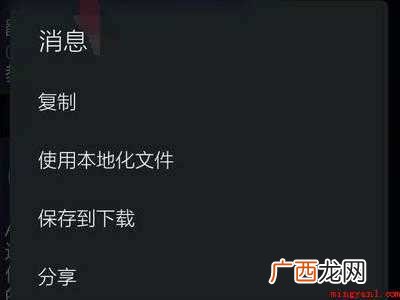苹果纸飞机中文版怎么设置汉化