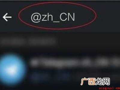 苹果纸飞机中文版怎么设置汉化