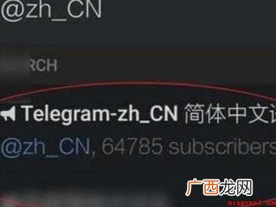 苹果纸飞机中文版怎么设置汉化
