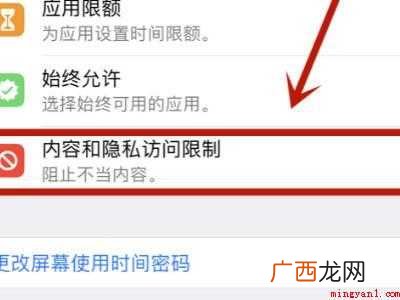 苹果浏览器怎么禁止使用的具体操作步骤 苹果浏览器怎么禁止使用
